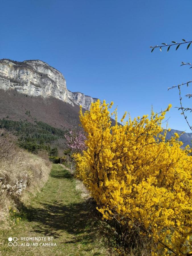 Studio Au Pied De La Montagne Et Vue Imprenable Saint-Alban  Buitenkant foto
