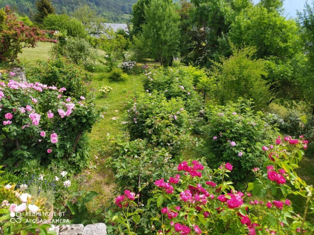 Studio Au Pied De La Montagne Et Vue Imprenable Saint-Alban  Buitenkant foto