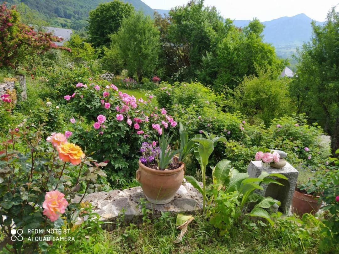 Studio Au Pied De La Montagne Et Vue Imprenable Saint-Alban  Buitenkant foto