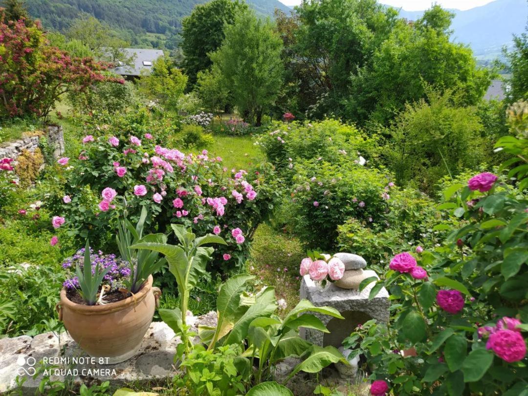 Studio Au Pied De La Montagne Et Vue Imprenable Saint-Alban  Buitenkant foto